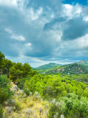 Bereketli yeşil tepeler bulutlarla dolu karamsar bir gökyüzü ile zıtlaşır. Öğleden sonra, doğanın kucaklamasına sükunet ve yansımayı davet eden çarpıcı bir sahne yaratırlar..