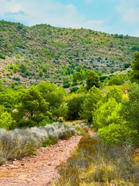 Dolambaçlı bir toprak yol, canlı yeşil ve nazik tepelerde keşifleri davet eder. Dağlarda sakin ve güneşli bir günde doğanın güzelliğini gözler önüne serer..