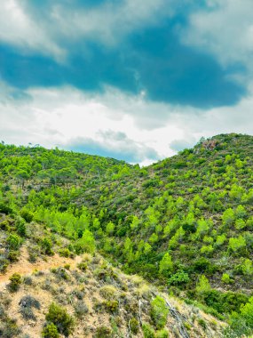 Canlı yeşilliklerle kaplı yemyeşil tepeler, sakin bir öğleden sonra bulutlarla dolu dramatik bir gökyüzüne karşı uzanıyor..