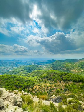 Geniş bir manzara, kabarık bulutlarla dolu canlı mavi bir gökyüzünün altında yemyeşil tepeler ve ağaçlar sergiliyor. Sahne huzur ve doğal güzellik saçıyor..