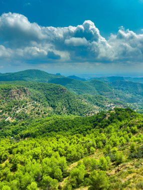 Sakin tepeler, huzurlu bir öğle vakti, tüylü beyaz bulutlarla dolu, geniş mavi bir gökyüzünün altında parlayan parlak yeşil ağaçlarla kaplıdır. Doğa bu resim ortamında gelişiyor..