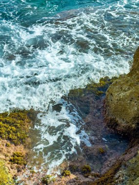 Güneş ışığı berrak suyun üzerine sıcak bir parıltı saçarken, kayalık sahilde hafif dalgalar süzülüyor. Deniz yosunu akıntıya göre dans eder. Doğanın canlı renklerini gösterir..