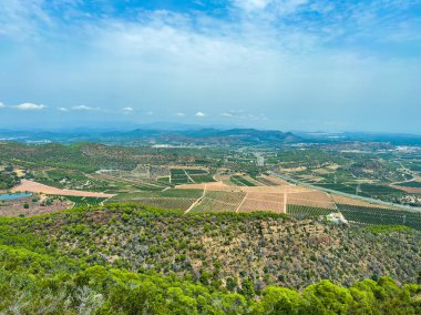 Arazi boyunca uzanan geniş üzüm bağları berrak bir gökyüzünün altında uzak tepelerden oluşan bir zemin oluşturur. Bu sakin sahne kırsal kesimin şafak vakti güzelliğini yansıtıyor..