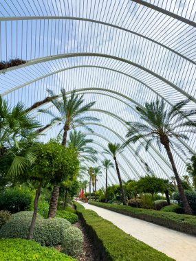 Bereketli bir bahçe boyunca uzanan sakin bir patika. Palmiye ağaçları ve canlı yapraklarla kaplı. Hepsi de çarpıcı kıvrımlı bir gölgeyle korunuyor. Parlak güneş ışığı içinden süzülerek barışçıl bir atmosfer yaratır..