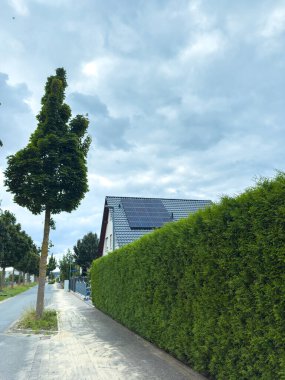 Güneş panelleri olan modern bir evin yanında uzun bir ağaç duruyor. Ev bulutlu bir gökyüzünün altında sessiz bir caddede iyi korunmuş bir çitle çevrili..