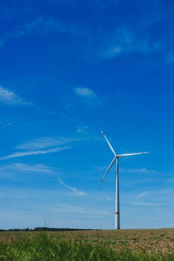 Berrak mavi gökyüzüne karşı tek bir rüzgar türbini kulesi, yemyeşil tarlalarla çevrili. Güneş ışıl ışıl parlıyor, huzurlu bir kırsal bölgede huzurlu bir atmosfer yaratıyor..