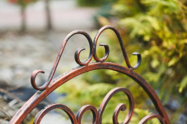 Süslü, dövmeli demir bir kapının yakın bir görüntüsü güzel kıvrımlarını ve desenlerini gözler önüne seriyor, sakin bir bahçe ortamında canlı bitkilerle çevrili, ılık güneş ışığında güneşleniyor..