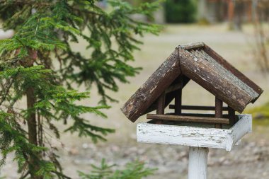 Büyüleyici bir ahşap kuş evi yemyeşil dalların yanında duruyor tüylü ziyaretçileri bu sakin bahçe sahnesine davet ediyor. Yumuşak öğleden sonra güneşi yumuşak gölgeler bırakır.