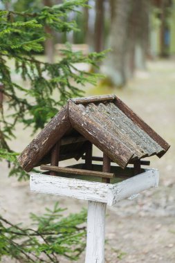 Büyüleyici bir ahşap kuş evi, dingin bir ormandaki yemyeşil ağaçların arasına kurulmuş beyaz bir direğin üzerinde duruyor. Yumuşak bahar atmosferi huzurlu bir atmosfer yaratır..