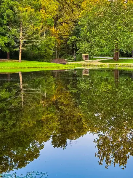 Uzun ağaçlar zengin altın ve yeşil yapraklar sergiliyor. Huzurlu bir park gölünün durgun sularında mükemmel bir şekilde yansıtılıyor. Ahşap bir çardak arka planda dinleniyor, misafirleri dinlenmeye ve doğanın tadını çıkarmaya davet ediyor..