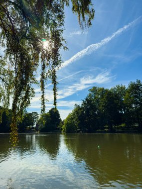 Parlak güneş ışığı yapraklı dalların arasından parlayarak sakin göl suyuna yansıyor. İnce bulutlu canlı bir mavi gökyüzü huzurlu sonbahar sahnesini tamamlıyor..