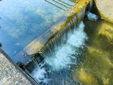 Kristal berrak su, yosun kaplı bir kaya yığınının üzerine dökülür. Güneş yüzeyde yemyeşil ve sakin bir sükunetle dans ederken yumuşak dalgalar oluşturur..