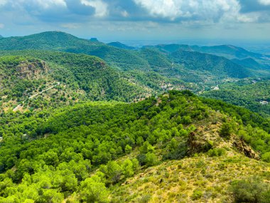 yemyeşil tepeler görkemli bir şekilde yükselirken, kalın bir ağaç örtüsüyle kaplanırken, uzak dağlar sise dönüşüyor. Manzara yürüyüşçüler ve doğa severler için huzurlu bir kaçış sunuyor..
