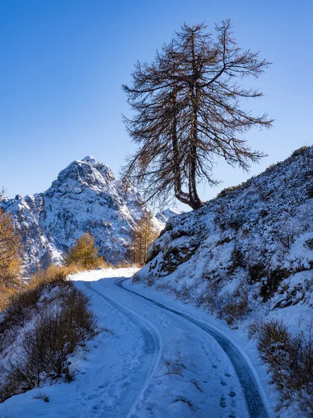 Camino Nevado Los Alpes Italianos —  Fotos de Stock