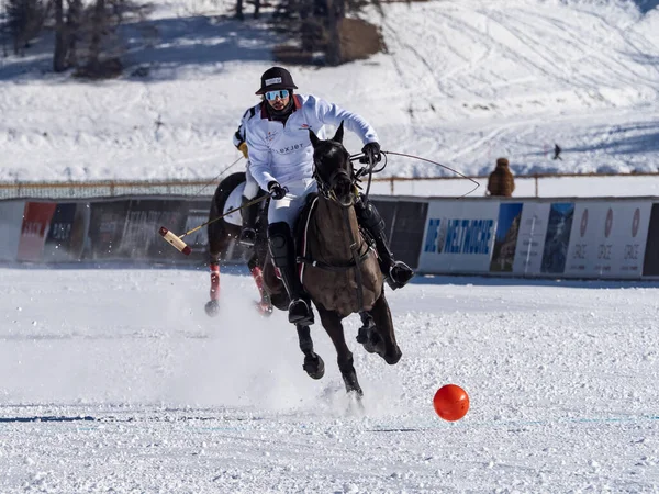 Moritz January 2023 Game Actions Snow Polo World Cup Moritz — Stock fotografie