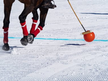 Snow Polo details pictures from a match