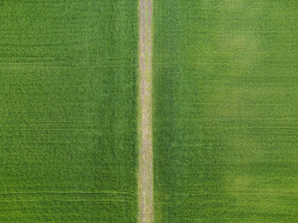 Country Road Cultivated Field — Stock Photo, Image