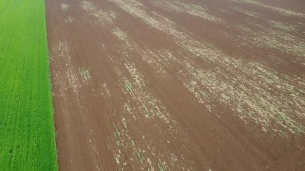 Drohnenflug Auf Landwirtschaftlichen Feldern — Stockvideo