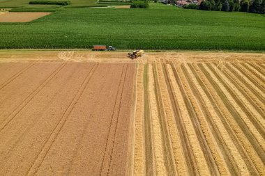 İtalya kırsalında hasat sahnesi
