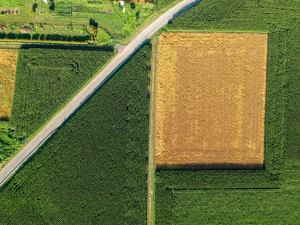 Αγροτικό Πεδίο Που Προβάλλεται Από Την Κορυφή Από Ένα Drone — Φωτογραφία Αρχείου