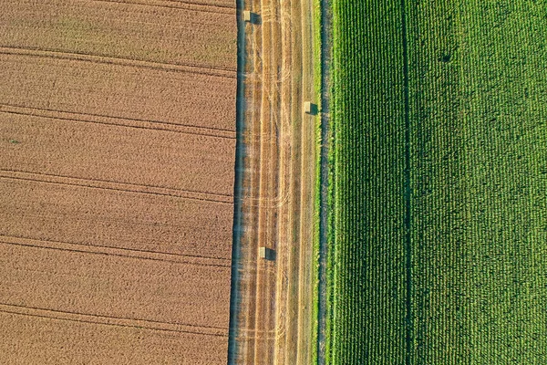 一架无人驾驶飞机从高处俯瞰农田 — 图库照片