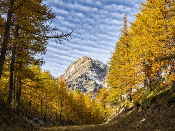 Herbstliche Landschaft Den Italienischen Alpen Von Macugnaga — Stockfoto