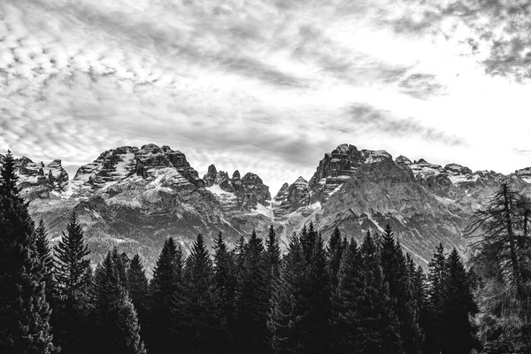 Vue Des Dolomites Brenta Noir Blanc — Photo
