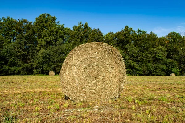 Ballen Auf Einem Landwirtschaftlichen Feld — Stockfoto