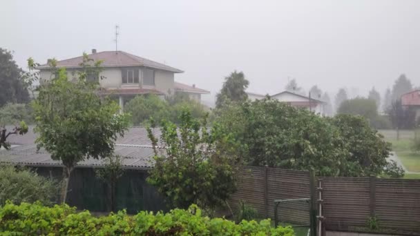Tormenta Lluvia Sobre Árboles Una Ciudad Italiana — Vídeos de Stock