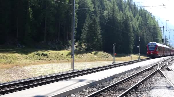 Suiza 2023 Tour Tren Rojo Bernina Uno Los Sitios Patrimonio — Vídeos de Stock