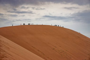 Namib çölünde 45 kum tepesi