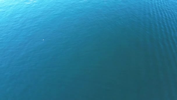 Widok Lotu Ptaka Wyspy Borromee Nad Jeziorem Maggiore — Wideo stockowe