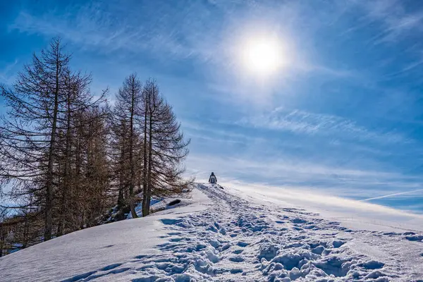 Valsassina Alplerinde karlı patika