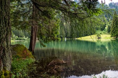 Trentino Alto Adige Alplerinde Alp Gölü
