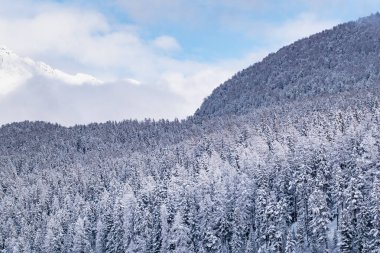 Sankt Moritz Alplerinde karlı manzara