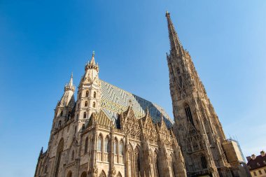 Wien 'deki Stephansdom Katedrali