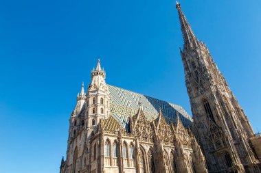 Wien 'deki Stephansdom Katedrali