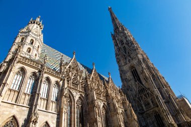 Wien 'deki Stephansdom Katedrali