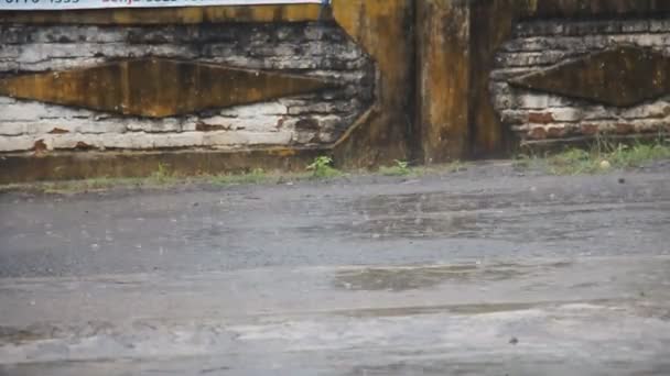 Krople Deszczu Uderzają Ziemię Deszczowy Dzień — Wideo stockowe