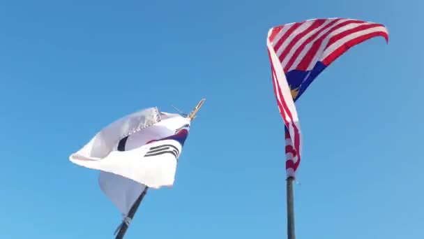 ジョグジャカルタ 2023年6月16日 パラカンヌスモビーチの国際カイトフェスティバルでさまざまな国の旗 — ストック動画
