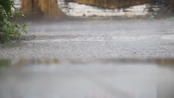 Krople Deszczu Uderzają Ziemię Deszczowy Dzień — Wideo stockowe