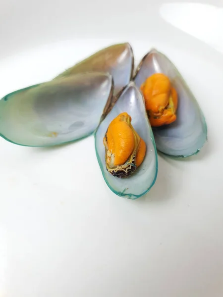 Mussels White Dish — Stock Photo, Image