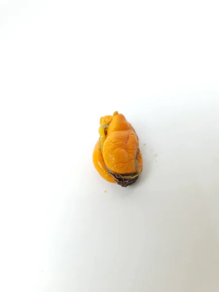 白菜上的贻贝 — 图库照片