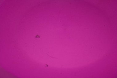 Pembe arka planda su damlası