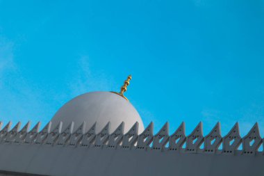 Şeyh Zayed Büyük Cami