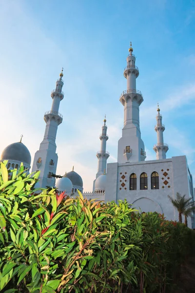 Şeyh Zayed Büyük Cami