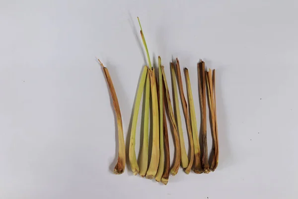 Lemongrass Pada Latar Belakang Putih — Stok Foto