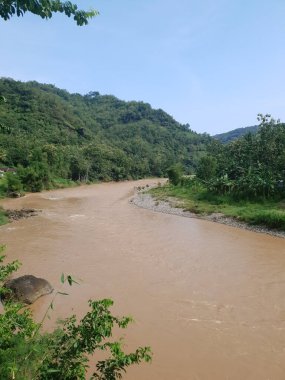 Ormandaki güzel nehir
