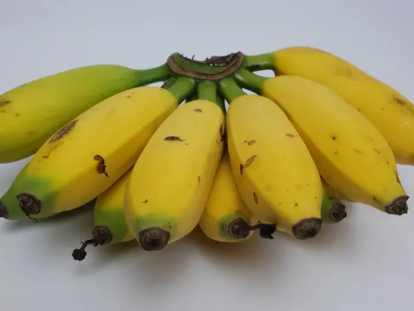 Racimo Plátanos Sobre Fondo Blanco — Foto de Stock