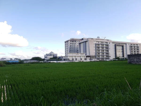 稻田的美丽景观 — 图库照片
